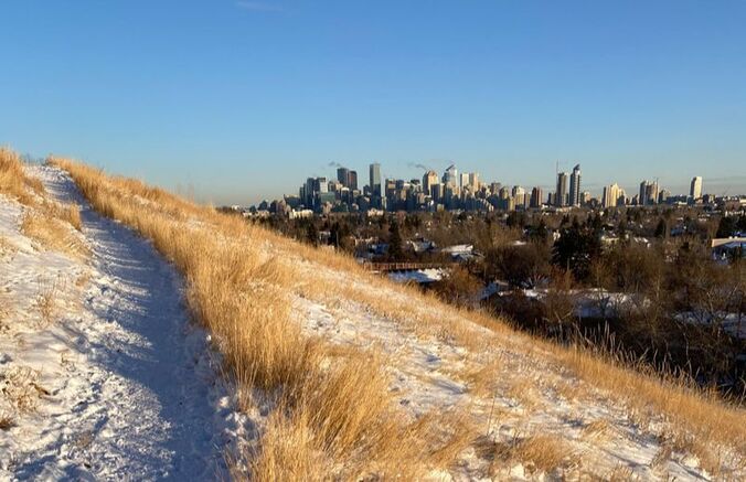 View from Toronto Crescent