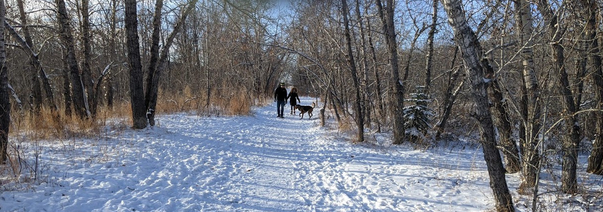 Dog walkers