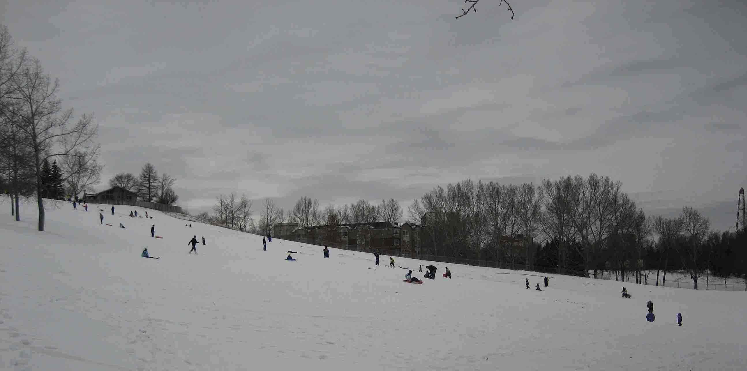 Tobogganing Hill